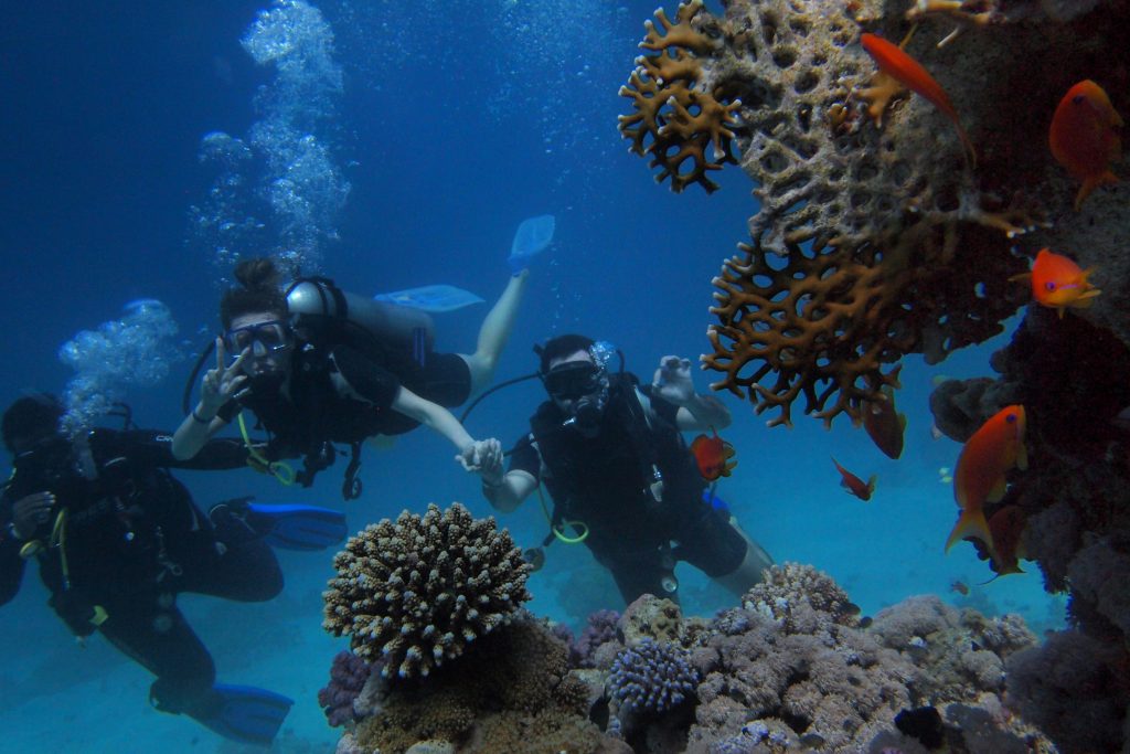 Bucear Bucear en Lanzarote y en sus vibrantes aguas del océano